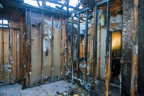 Professional Structural Rebuild technician working in Fort Belvoir, VA